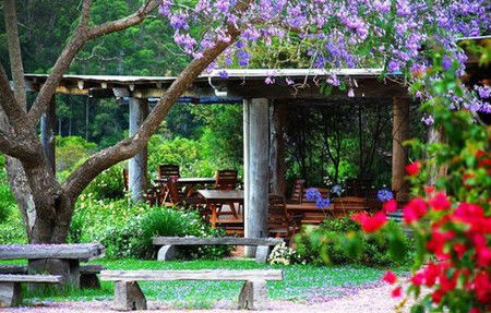 Bago Vineyards - C Tourism 1