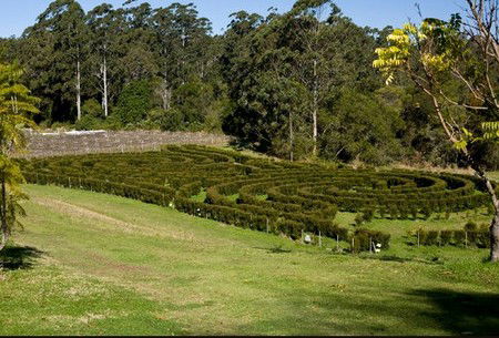 Bago Vineyards - C Tourism 2