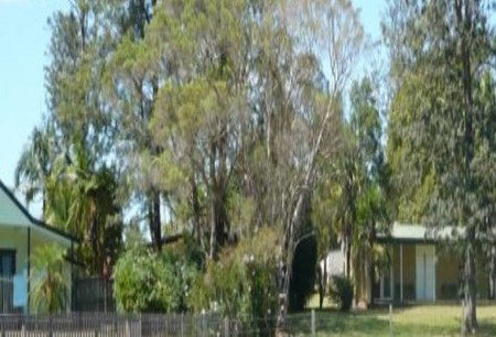 Nimbin NSW C Tourism