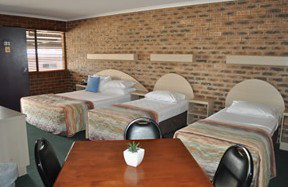 Castle Motor Lodge - C Tourism 3