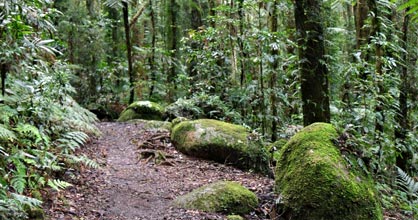 Hillside Bed & Breakfast - C Tourism 2