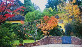 Moniques Bed And Breakfast - C Tourism 3