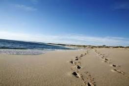 Kalbarri Palm Resort - C Tourism 4