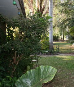 Douglas Daly Holiday Park - C Tourism 1