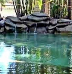 Douglas Daly Holiday Park - C Tourism 2