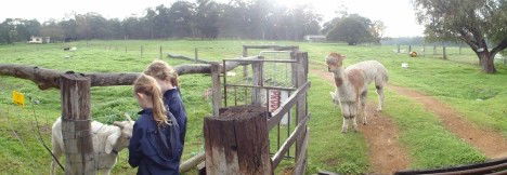 Boronia Farm Farmstay - C Tourism 0