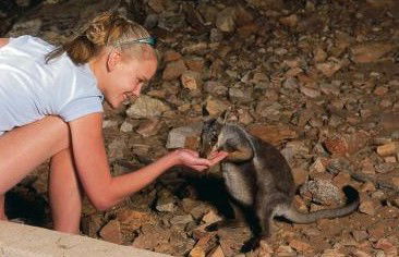 Heaviytrr Gap Outback Lodge - C Tourism 5