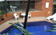 Palms Motel - thumb 1