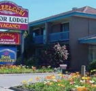Strzelecki Motor Lodge - C Tourism