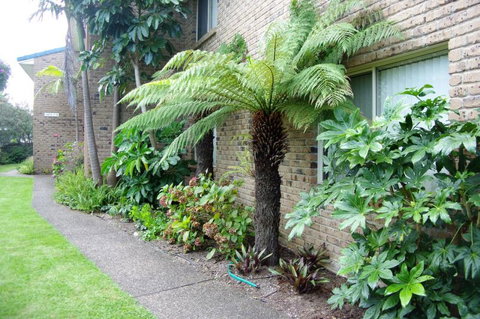 Beachfront Units Merimbula - C Tourism 3