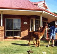 Brilea Cottages - C Tourism