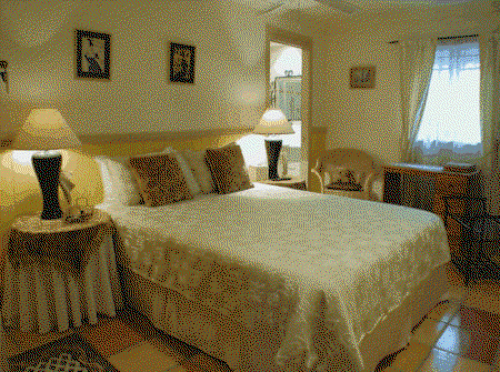 Fern Cottage Bed And Breakfast - C Tourism 0