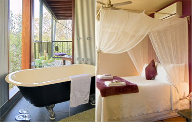 EcOasis - C Tourism 2