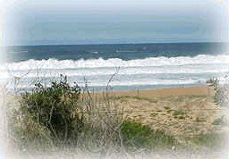 Mcgregors By The Bay - C Tourism 0