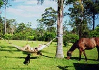 Clybucca NSW C Tourism