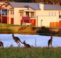 Grand Mercure The Vintage Hunter Valley - C Tourism