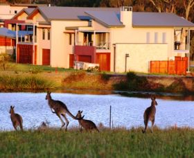 Grand Mercure The Vintage Hunter Valley - C Tourism 0