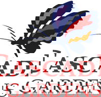 Q Resorts Cascade Gardens  - C Tourism