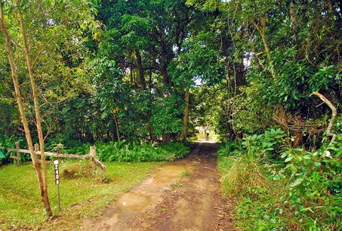 Wompoo Cottage - C Tourism 0