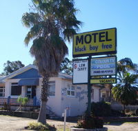 Blackboy Tree Motel - C Tourism