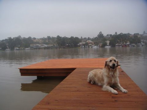 Eleven From The Left - C Tourism 0