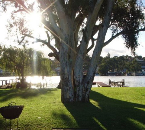 Eleven From The Left - C Tourism 1