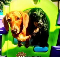 AAA Pet Motel - C Tourism