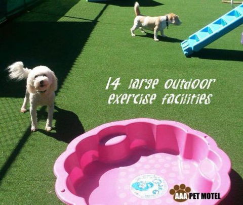 AAA Pet Motel - C Tourism 2