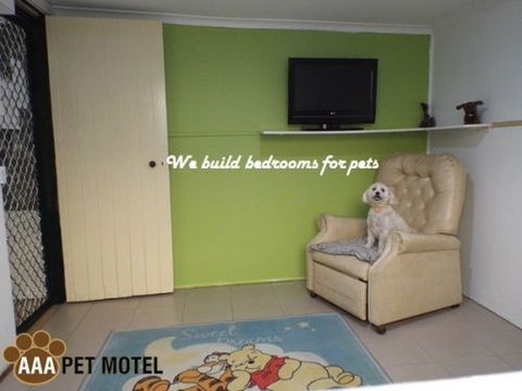 AAA Pet Motel - C Tourism 3