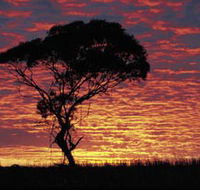 Kimba Caravan Park amp Motel - C Tourism