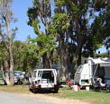 Elliston Caravan Park - C Tourism