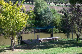 Colonial Inn Tamworth - C Tourism 3