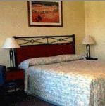 Ashfield Motor Inn - C Tourism 2