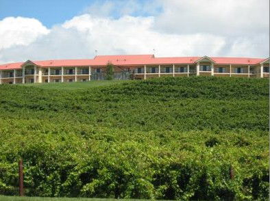 Turners Vineyard - C Tourism 4