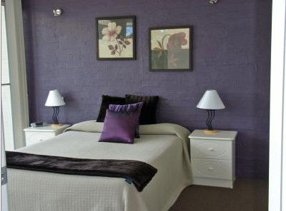 Apollo Apartments - C Tourism 2