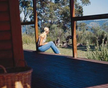 Eaglereach Wilderness Resort - C Tourism 2