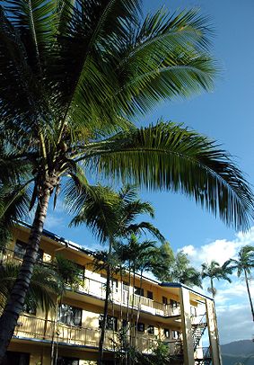 Palms At Trinity - C Tourism 3