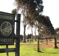 Harmony Forest - C Tourism
