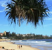 Mariners Caloundra - C Tourism