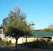 Riverland Motor Inn - C Tourism
