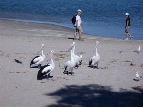 Kalbarri Accommodation Service - C Tourism 5