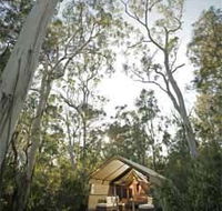 Paperbark Camp - C Tourism