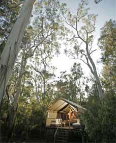 Paperbark Camp - C Tourism 0