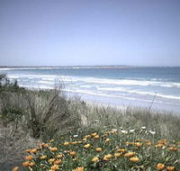 Moyne Cottage - C Tourism