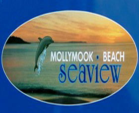 A Mollymook Beach Seaview - C Tourism 0
