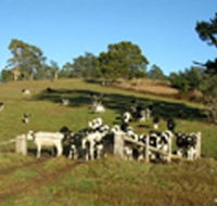 St Columba Cottage - C Tourism