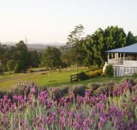 Blue Ridge Lavender Farm And Retreat - C Tourism