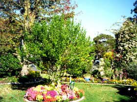 Jolly Swagman Caravan Park - C Tourism 0