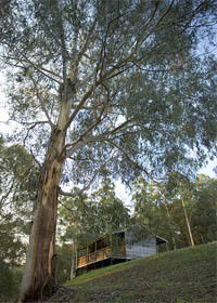 Toorongo VIC C Tourism