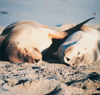 Highgate Farmhouse - C Tourism